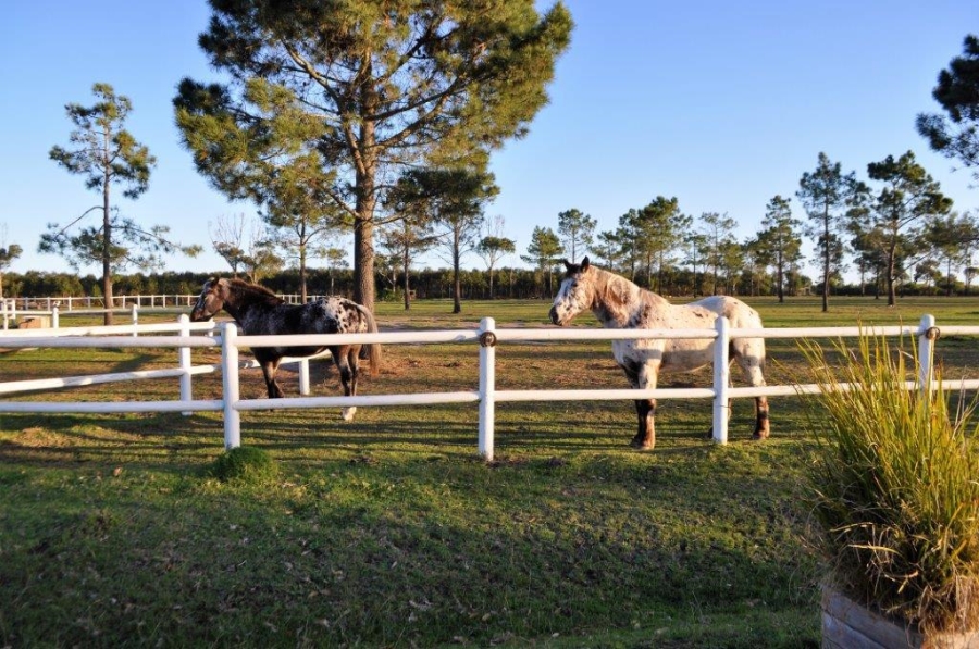 17 Bedroom Property for Sale in Airport Western Cape